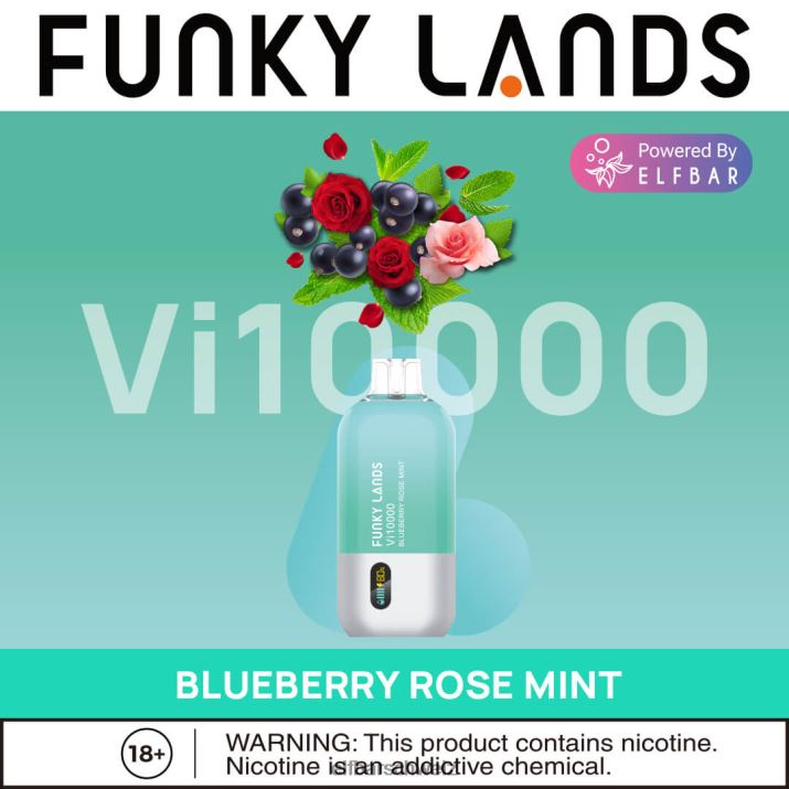 Funky Lands Einweg-Vape VI10000 Züge Blaubeer-Rosen-Minze ELFBAR 8T2RT163